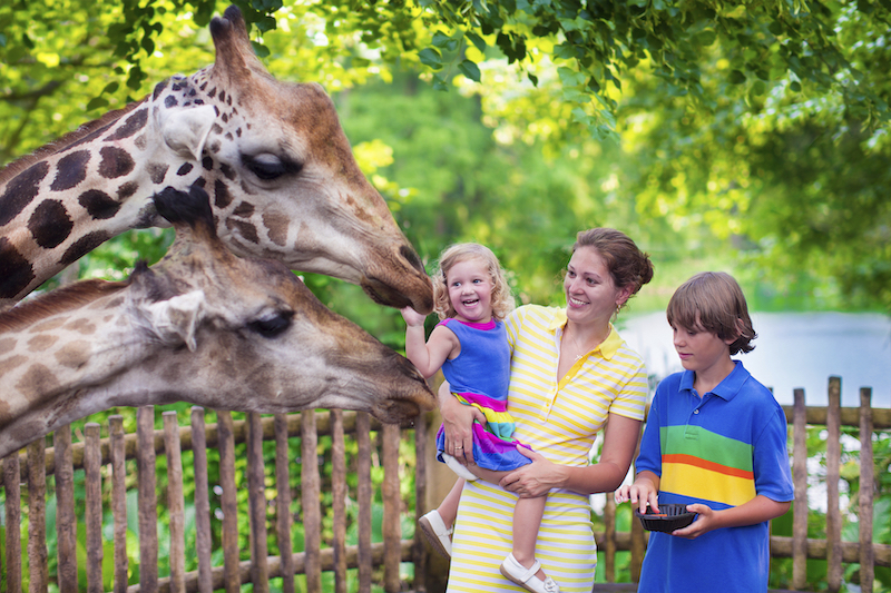 What Happens if I Get Injured at the Oklahoma City Zoo?